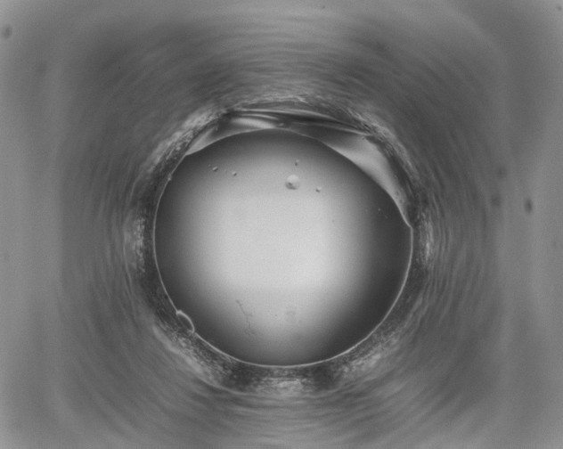 X0000067910260200604171346