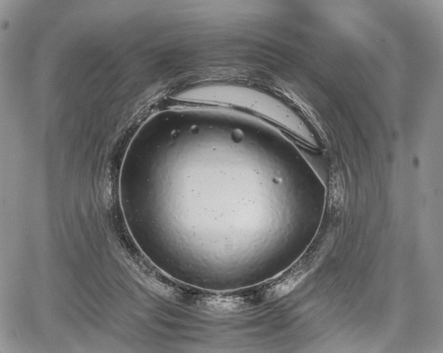 X0000067910261200604171346