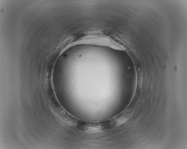 X0000067910263200604171346