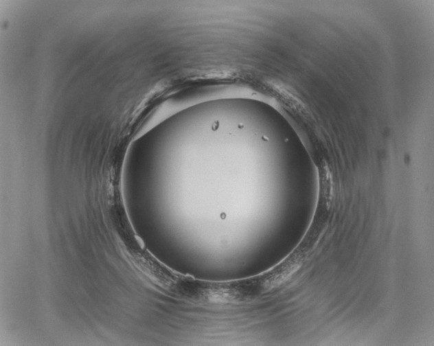 X0000067910264200604171346