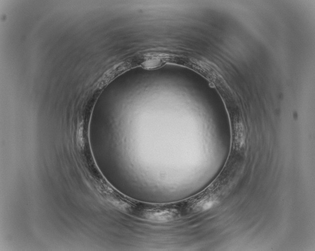 X0000067910267200604171346