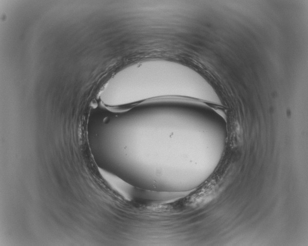 X0000067910268200604171346