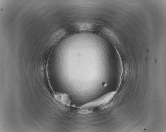 X0000067910269200604171346