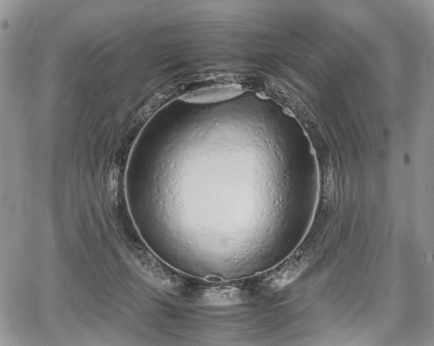 X0000067910271200604171346