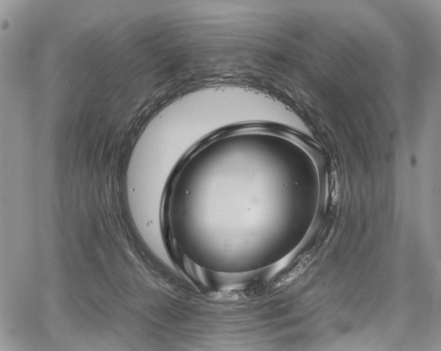 X0000067910272200604171346