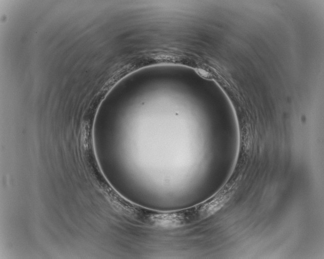 X0000067910273200604171346