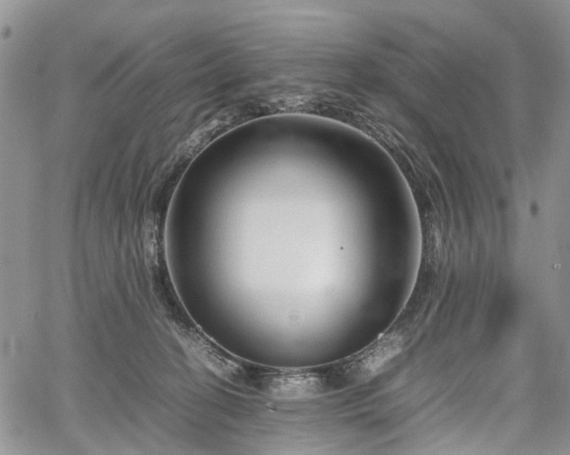 X0000067910274200604171346