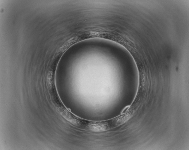 X0000067910275200604171346