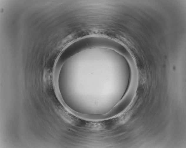 X0000067910276200604171346