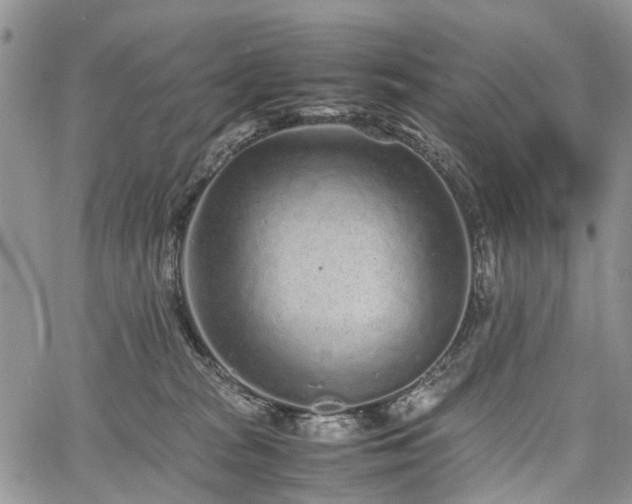 X0000067910277200604171346