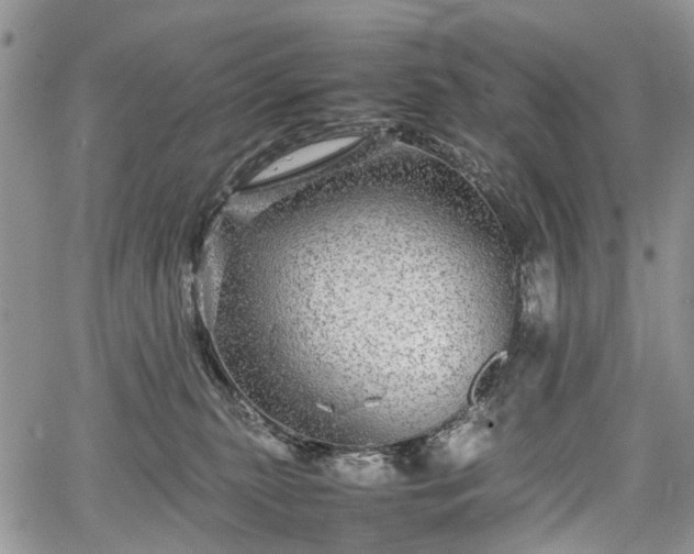 X0000067910279200604171346