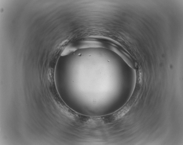 X0000067910280200604171346