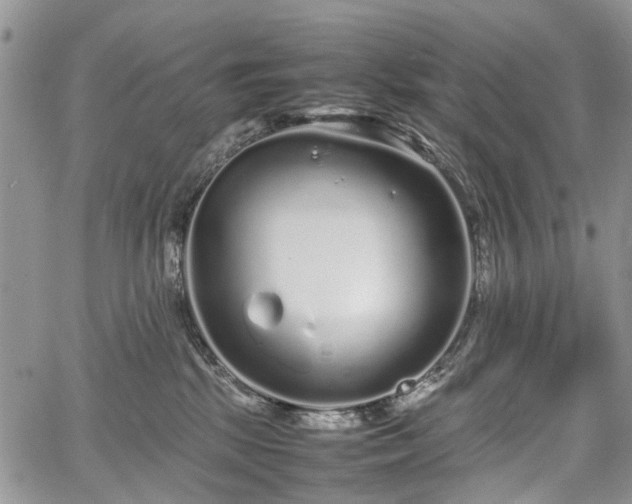 X0000067910281200604171346