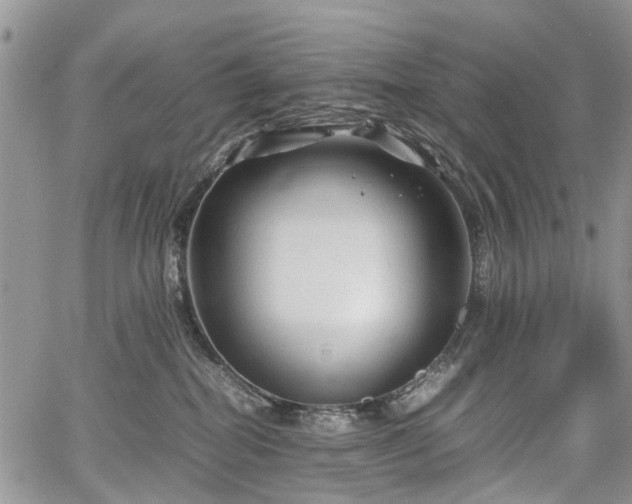 X0000067910282200604171346