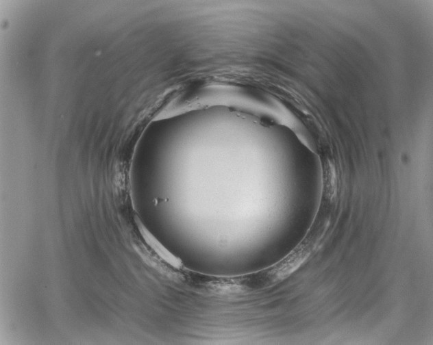 X0000067910284200604171346