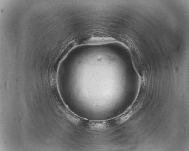 X0000067910285200604171346