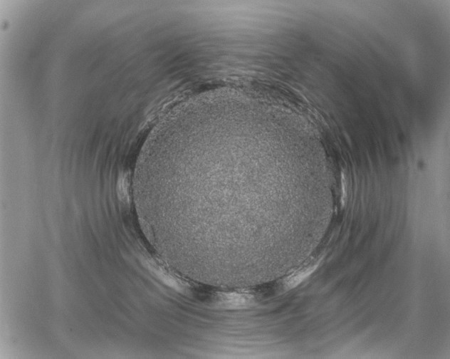 X0000067910286200604171346