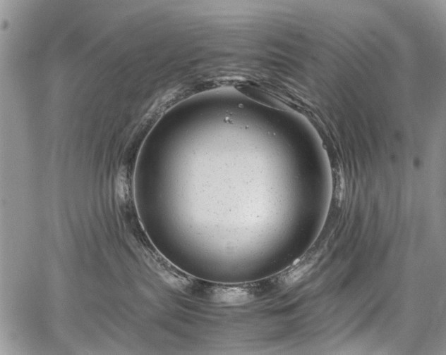 X0000067910287200604171346