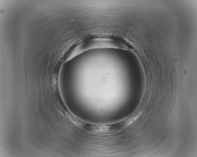 X0000067910288200604171346