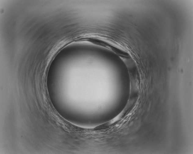 X0000067910289200604171345