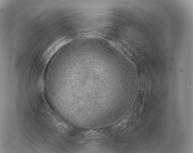 X0000067910290200604171345