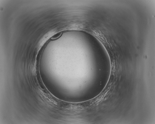 X0000067910292200604171345