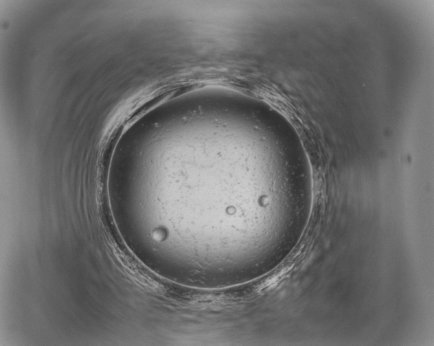 X0000067910293200604171345