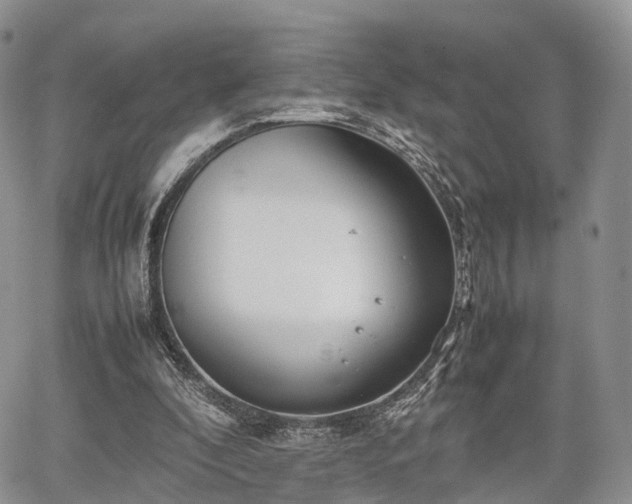 X0000067910296200604171345