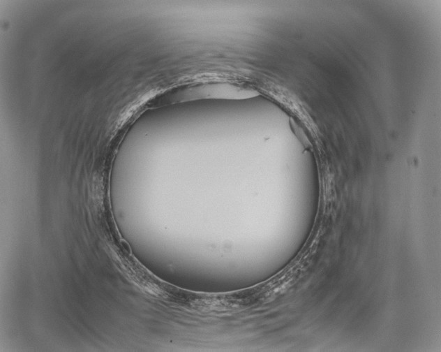 X0000067910297200604171345