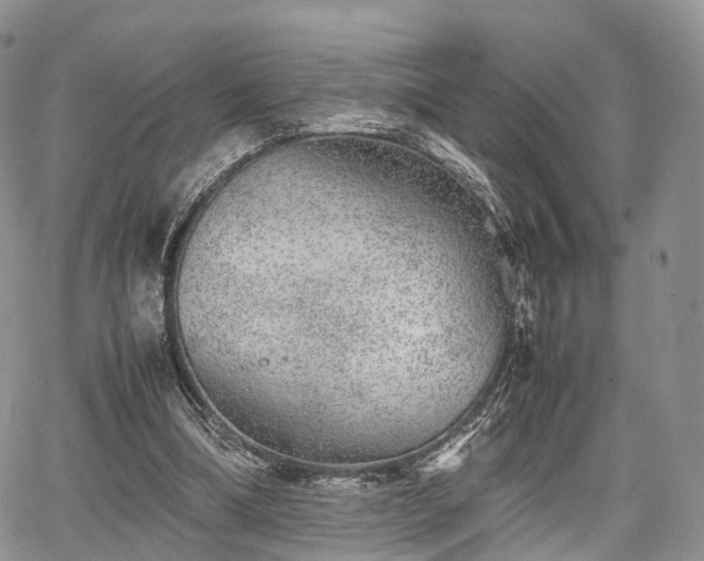 X0000067910298200604171345