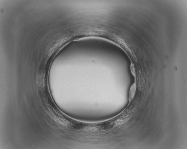 X0000067910299200604171345