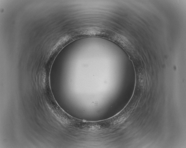 X0000067910304200604171345