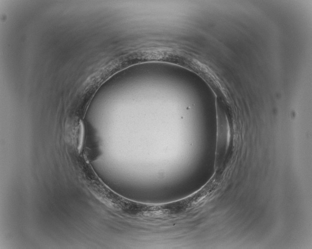 X0000067910307200604171345