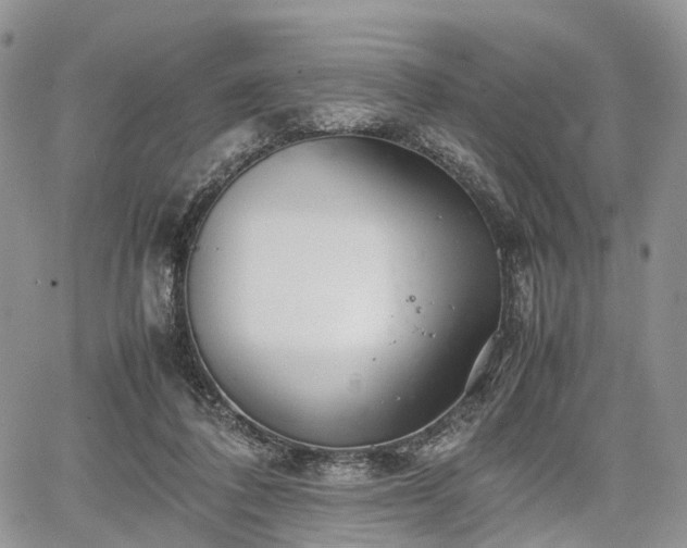 X0000067910308200604171345