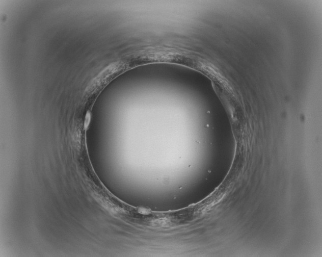 X0000067910309200604171345