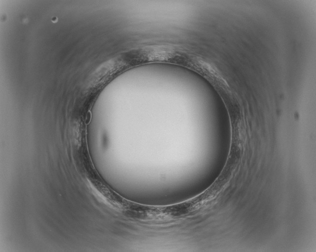 X0000067910311200604171345