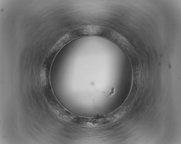 X0000067910312200604171345