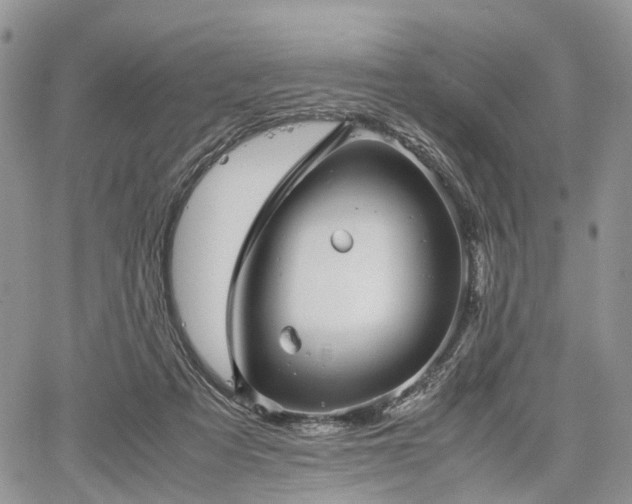 X0000067910313200604171345