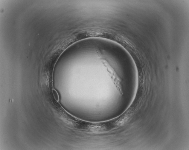 X0000067910315200604171345