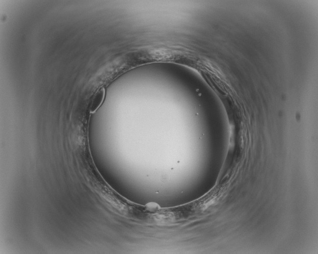 X0000067910317200604171345