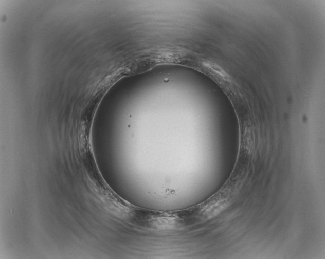 X0000067910318200604171345