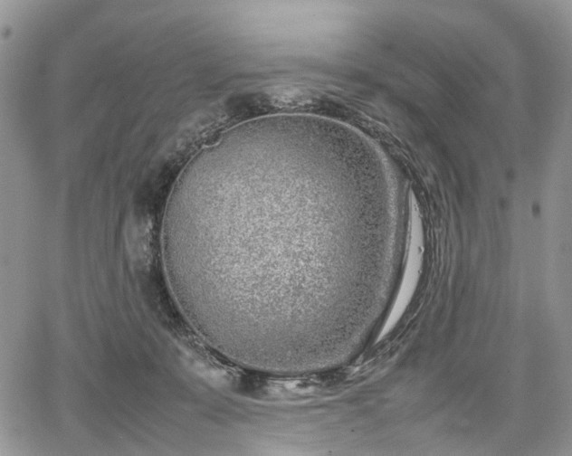 X0000067910319200604171345