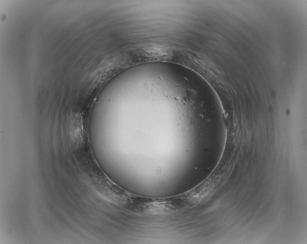 X0000067910320200604171345