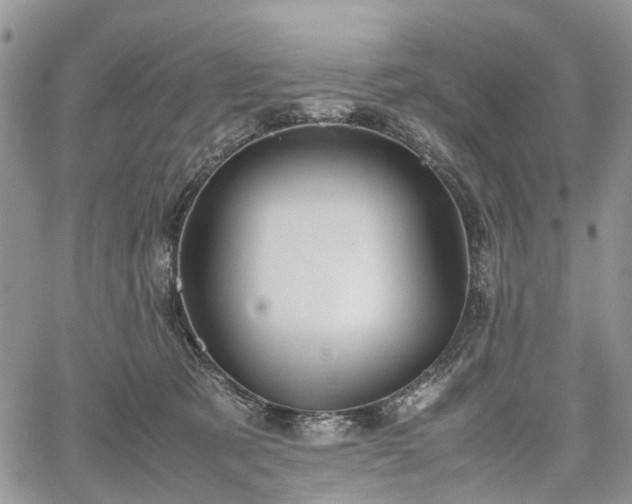 X0000067910321200604171345