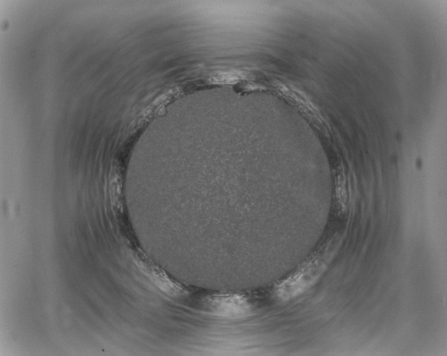 X0000067910322200604171345