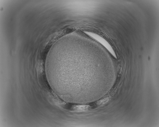 X0000067910323200604171345