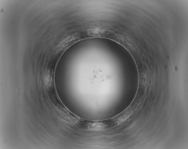 X0000067910324200604171345