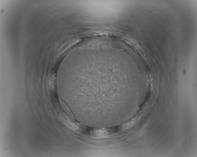 X0000067910325200604171345