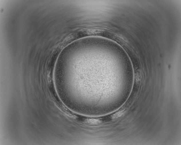 X0000067910327200604171345