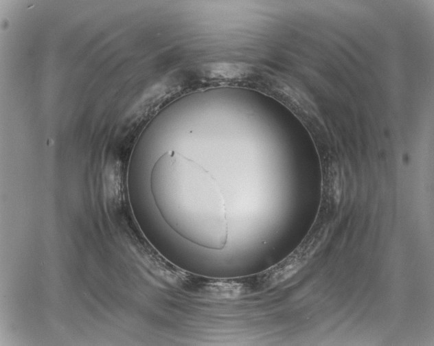 X0000067910328200604171345